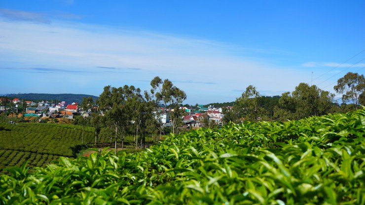 1-%e0%b8%9e%e0%b8%b2%e0%b8%a1%e0%b8%b2%e0%b9%80%e0%b8%97%e0%b8%b5%e0%b9%88%e0%b8%a2%e0%b8%a7%e0%b9%84%e0%b8%a3%e0%b9%88%e0%b8%8a%e0%b8%b2%e0%b8%94%e0%b8%b2%e0%b8%a5%e0%b8%b1%e0%b8%94