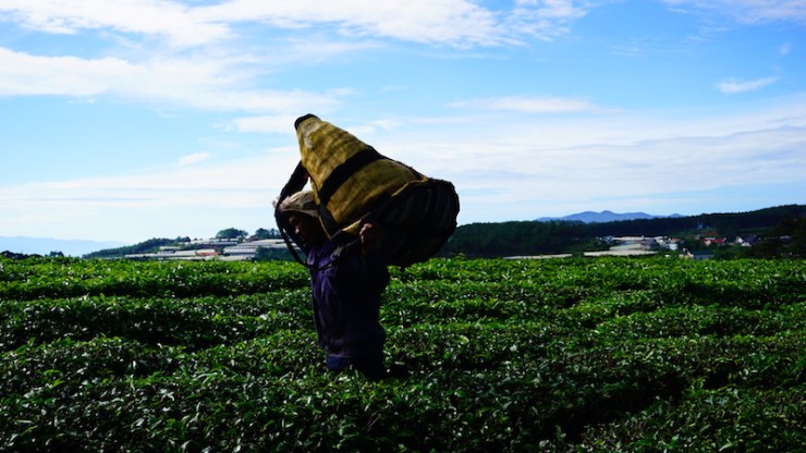 10-%e0%b9%80%e0%b8%ab%e0%b9%87%e0%b8%99%e0%b8%9a%e0%b8%a3%e0%b8%a3%e0%b8%a2%e0%b8%b2%e0%b8%81%e0%b8%b2%e0%b8%a8%e0%b9%81%e0%b8%a5%e0%b9%89%e0%b8%a7%e0%b8%ad%e0%b8%a2%e0%b8%b2%e0%b8%81%e0%b8%a1