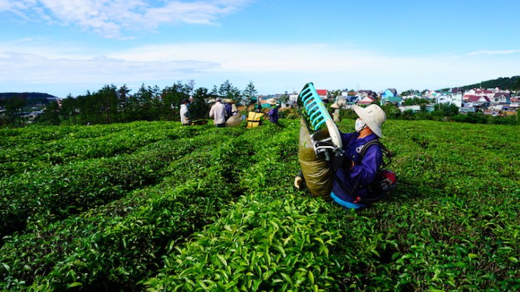 11-%e0%b8%9e%e0%b8%ad%e0%b8%95%e0%b8%b1%e0%b8%94%e0%b9%83%e0%b8%9a%e0%b8%81%e0%b9%87%e0%b9%80%e0%b8%ad%e0%b8%b2%e0%b9%83%e0%b8%aa%e0%b9%88%e0%b8%96%e0%b8%b8%e0%b8%87%e0%b8%81%e0%b8%a3%e0%b8%b0