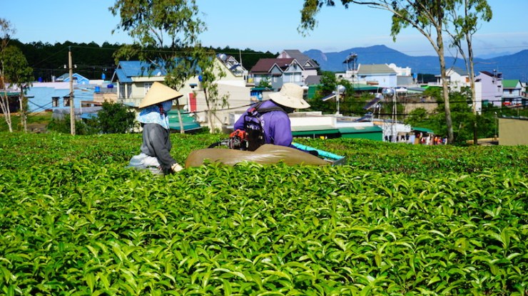 13-%e0%b9%80%e0%b8%a3%e0%b8%b2%e0%b9%80%e0%b8%82%e0%b9%89%e0%b8%b2%e0%b8%a1%e0%b8%b2%e0%b8%8a%e0%b8%a1%e0%b9%81%e0%b8%9a%e0%b8%9a%e0%b9%83%e0%b8%81%e0%b8%a5%e0%b9%89%e0%b8%8a%e0%b8%b4%e0%b8%94