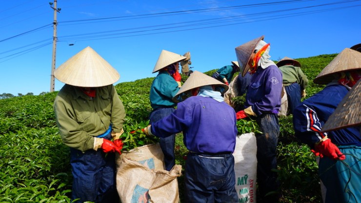 20-%e0%b8%8a%e0%b8%b8%e0%b8%94%e0%b9%80%e0%b8%81%e0%b9%87%e0%b8%9a%e0%b9%83%e0%b8%9a%e0%b8%8a%e0%b8%b2%e0%b8%95%e0%b9%89%e0%b8%ad%e0%b8%87%e0%b9%81%e0%b8%9a%e0%b8%9a%e0%b8%99%e0%b8%b5%e0%b9%89