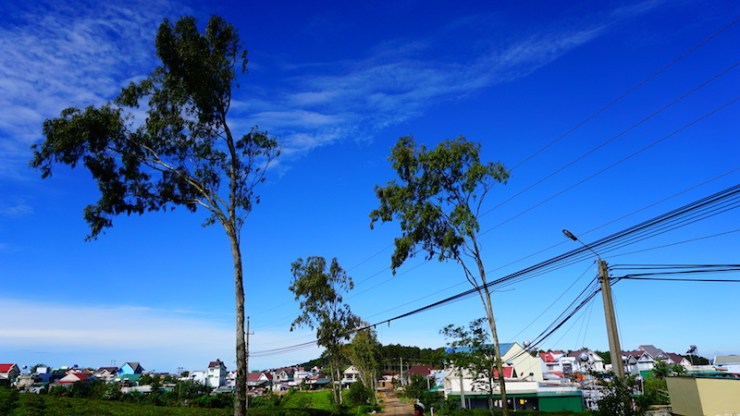 8-%e0%b8%a7%e0%b8%b1%e0%b8%99%e0%b8%99%e0%b8%b5%e0%b9%89%e0%b8%9f%e0%b9%89%e0%b8%b2%e0%b8%aa%e0%b8%b5%e0%b8%84%e0%b8%a3%e0%b8%b2%e0%b8%a1%e0%b8%88%e0%b8%a3%e0%b8%b4%e0%b8%87%e0%b9%86