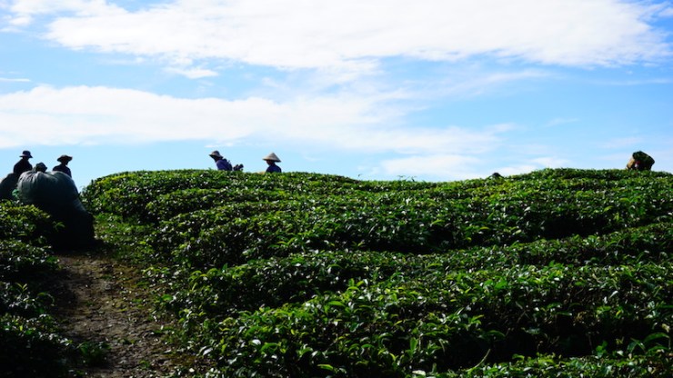 9-%e0%b8%9e%e0%b8%ad%e0%b8%a1%e0%b8%b2%e0%b8%96%e0%b8%b6%e0%b8%87%e0%b8%95%e0%b8%ad%e0%b8%99%e0%b9%80%e0%b8%8a%e0%b9%89%e0%b8%b2-8-%e0%b9%82%e0%b8%a1%e0%b8%87%e0%b8%a2%e0%b8%b1%e0%b8%87%e0%b9%80