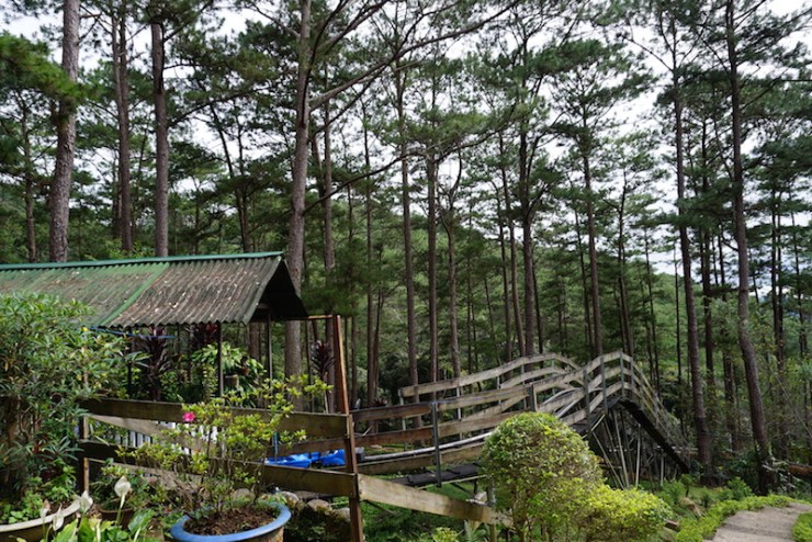 15-%e0%b8%95%e0%b8%ad%e0%b8%99%e0%b8%88%e0%b8%9a%e0%b8%82%e0%b8%ad%e0%b8%87-roller-coaster-%e0%b8%95%e0%b9%89%e0%b8%ad%e0%b8%87%e0%b8%81%e0%b8%a5%e0%b8%b1%e0%b8%9a%e0%b8%a1%e0%b8%b2%e0%b8%97%e0%b8%b2