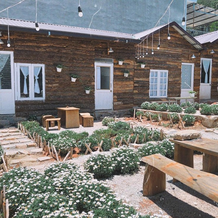 60046189_3434271033265740_6194685791206113280_n